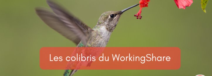 Les colibris du WorkingShare