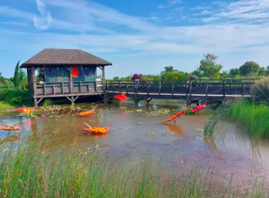 Arts & Siences pour parler des déchets marins.